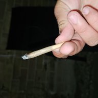 parazi7