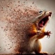 Deeznuts