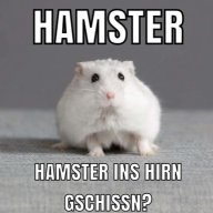 giggl
