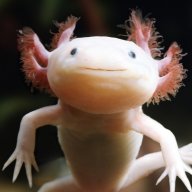 nonestnonest1234567890