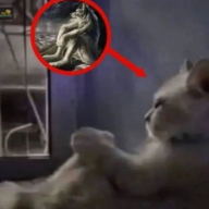 ghost14167