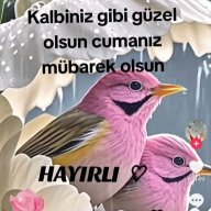 usjshdjd