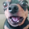 asphualt