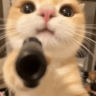DarthPatato78