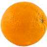 PPEE33