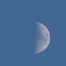 Nico4567