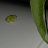 citric12